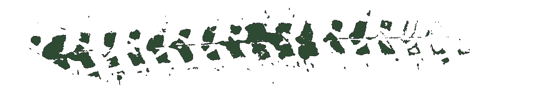 reifenspur_transparent