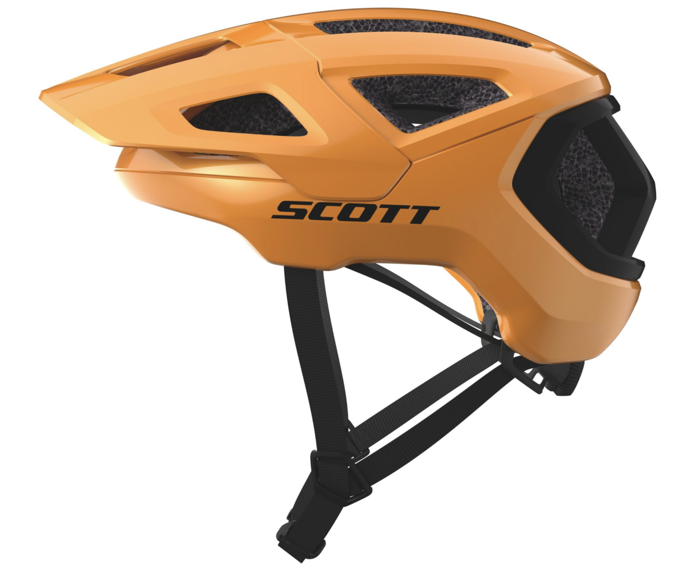 Scott Tago Plus