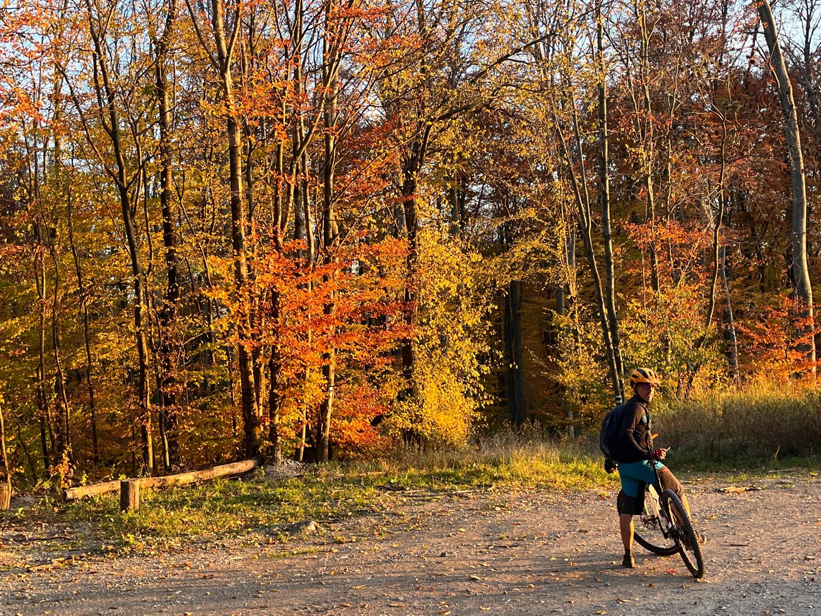 Kurztour Mauerbach